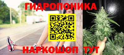 a pvp Заводоуковск
