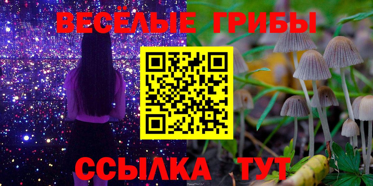 Псилоцибиновые грибы Psilocybine cubensis  Вход с VPN  Шахты  Псилоцибиновые грибы Cubensis 